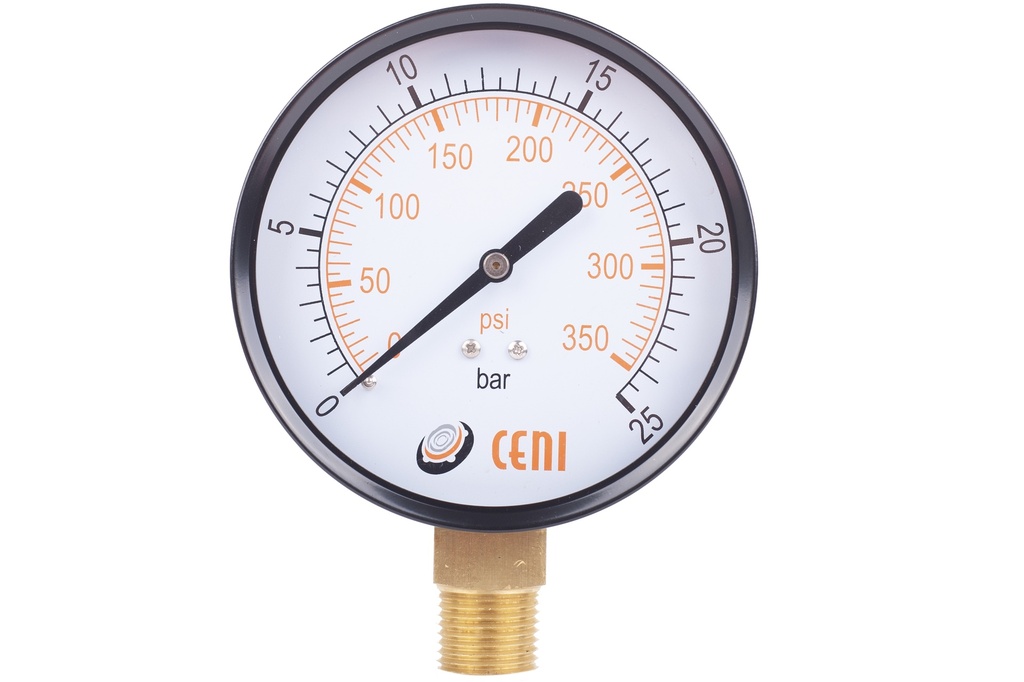 11Ø100 R 1/2"NPT 25 bar-psi