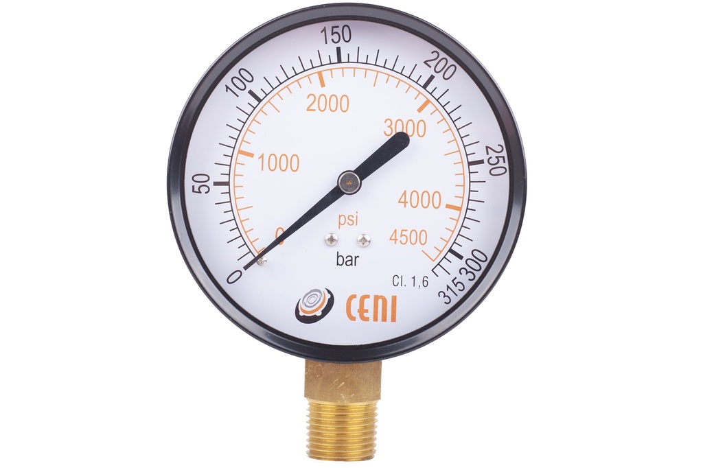 11Ø100 R 1/2"NPT 315 Bar/Psi