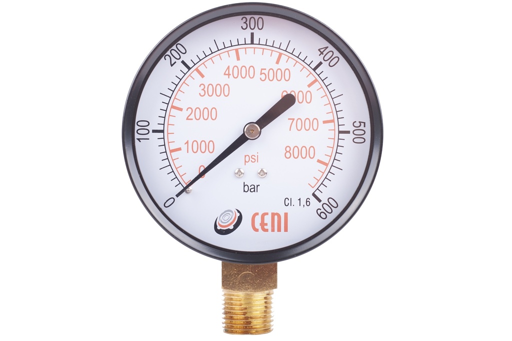11Ø100 R 1/2"NPT 600 Bar/Psi