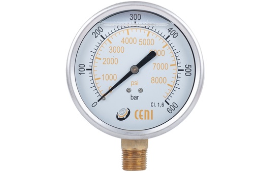 [MN22100RF0600D] 22Ø100 R 1/2"NPT 600 bar-psi