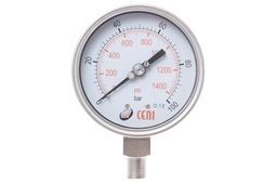 74Ø100 R 1/2"NPT 100 Bar/Psi